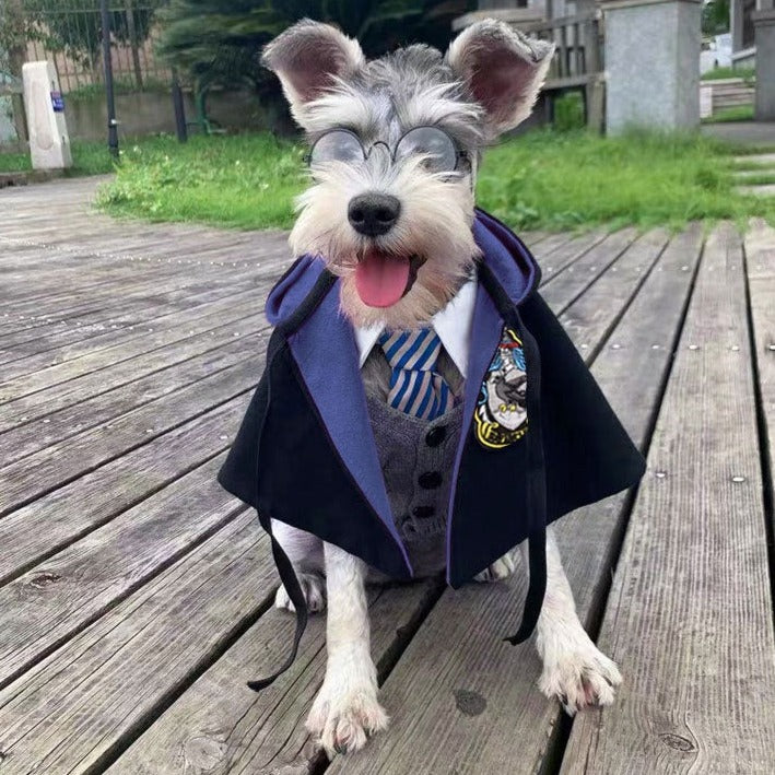 Roupa harry potter para gato - Roupa harry potter para cachorro