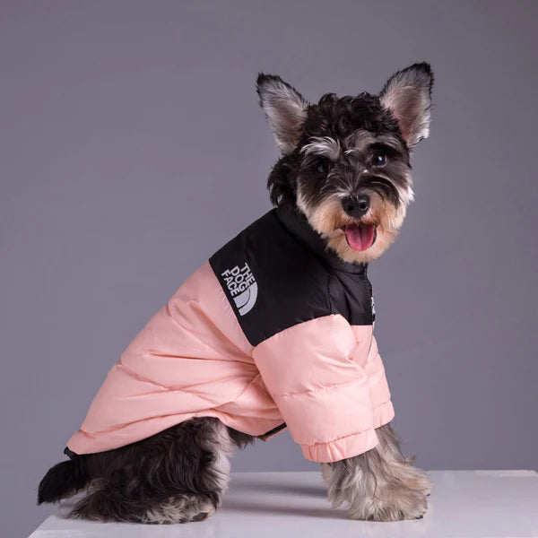 The Dog Face Winter Jacket - Pet Croc