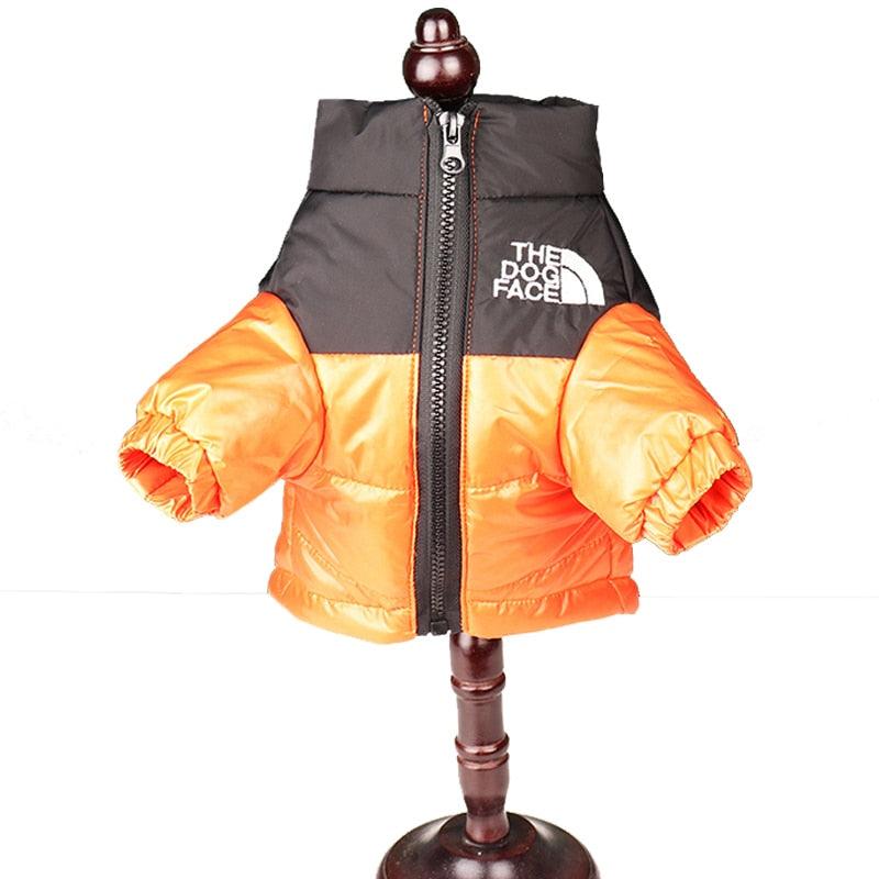 The Dog Face Winter Jacket - Pet Croc