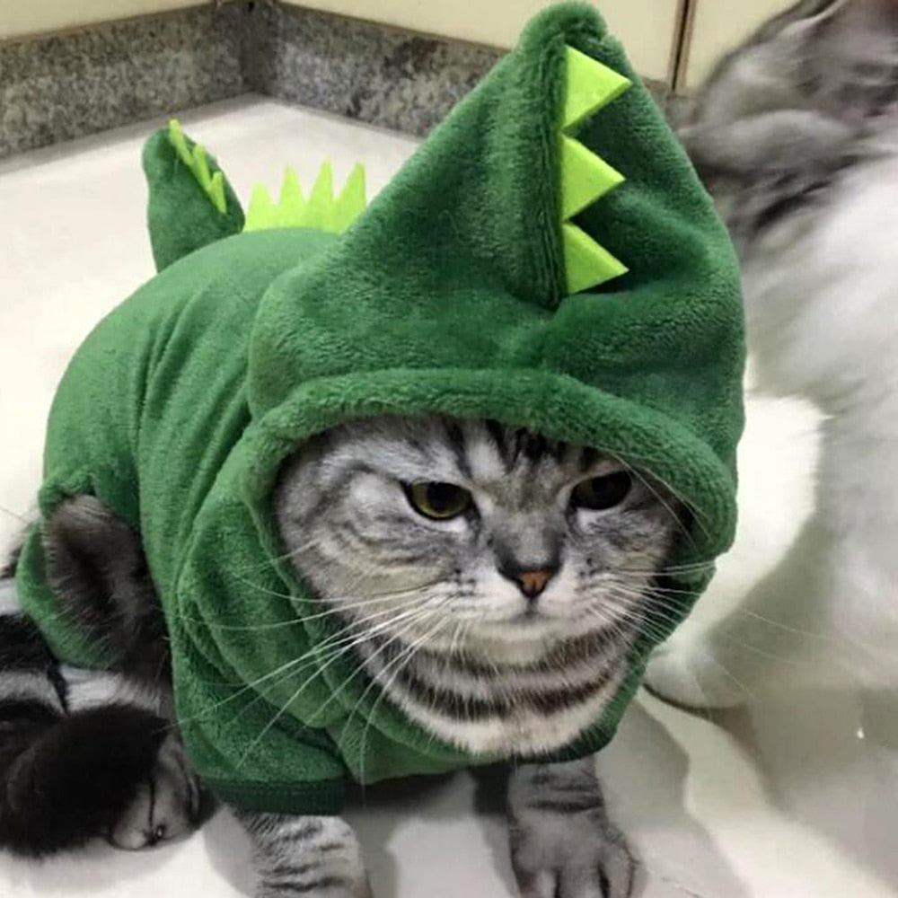 roupinha de dinossauro para cachorro