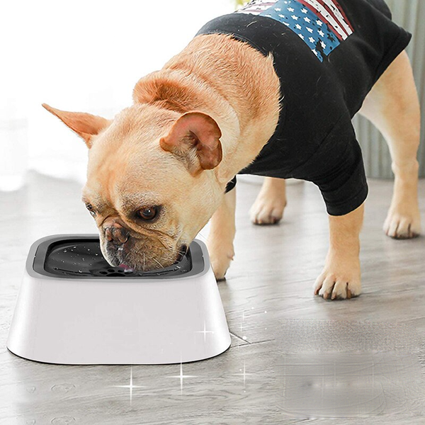 ElsPet™: Tigela Smart Anti Respingo - Pet Croc