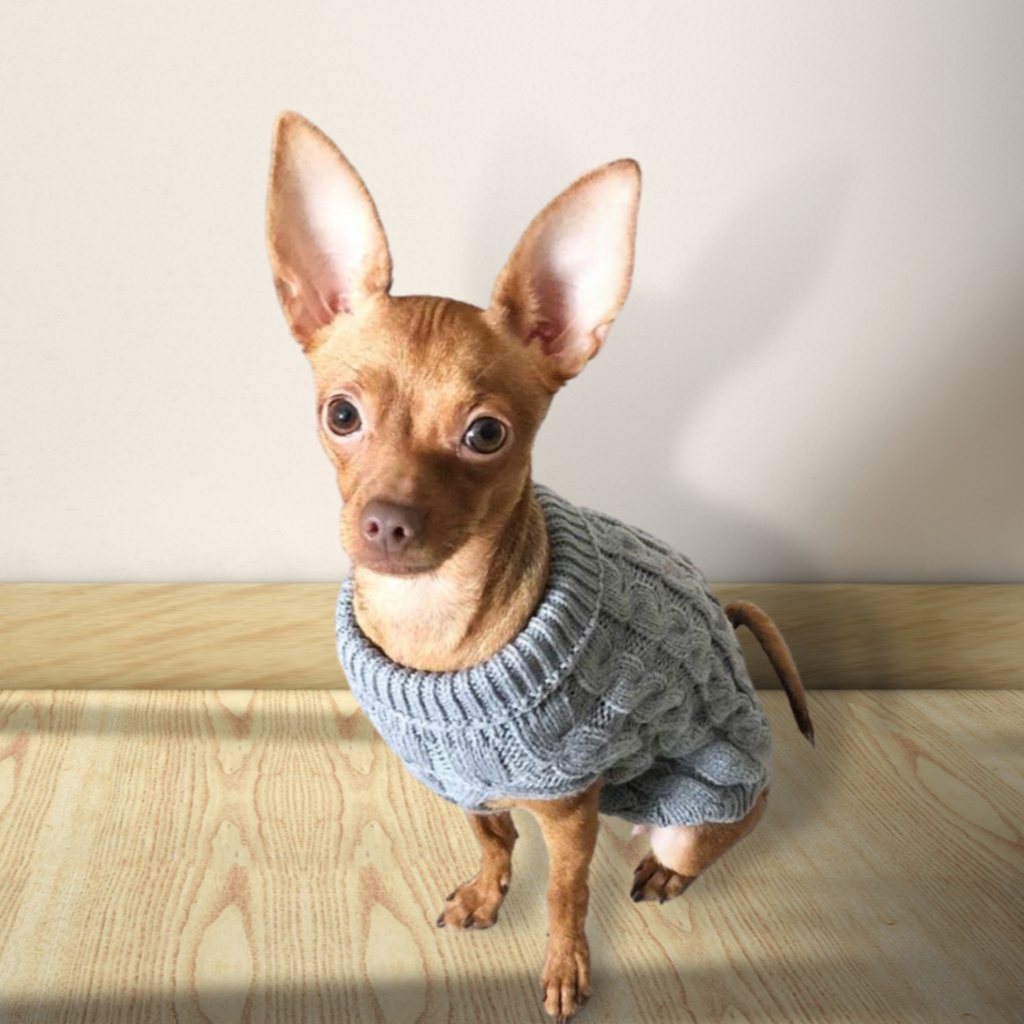 Suéter Aconchegante de Gola Alta Roupa para Cachorro e Gato - Pet Croc