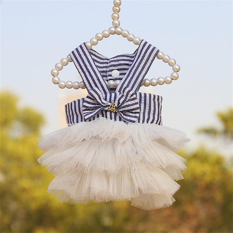 pet shop near me pet store near me puppy clothes clothes for pet matching clothes with dog dogs in clothes pet dress dog clothes dog clothes near me dog clothes designer
