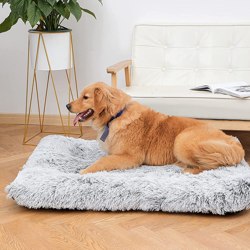 Cama para Cachorro Grande Nuvem Plus Size