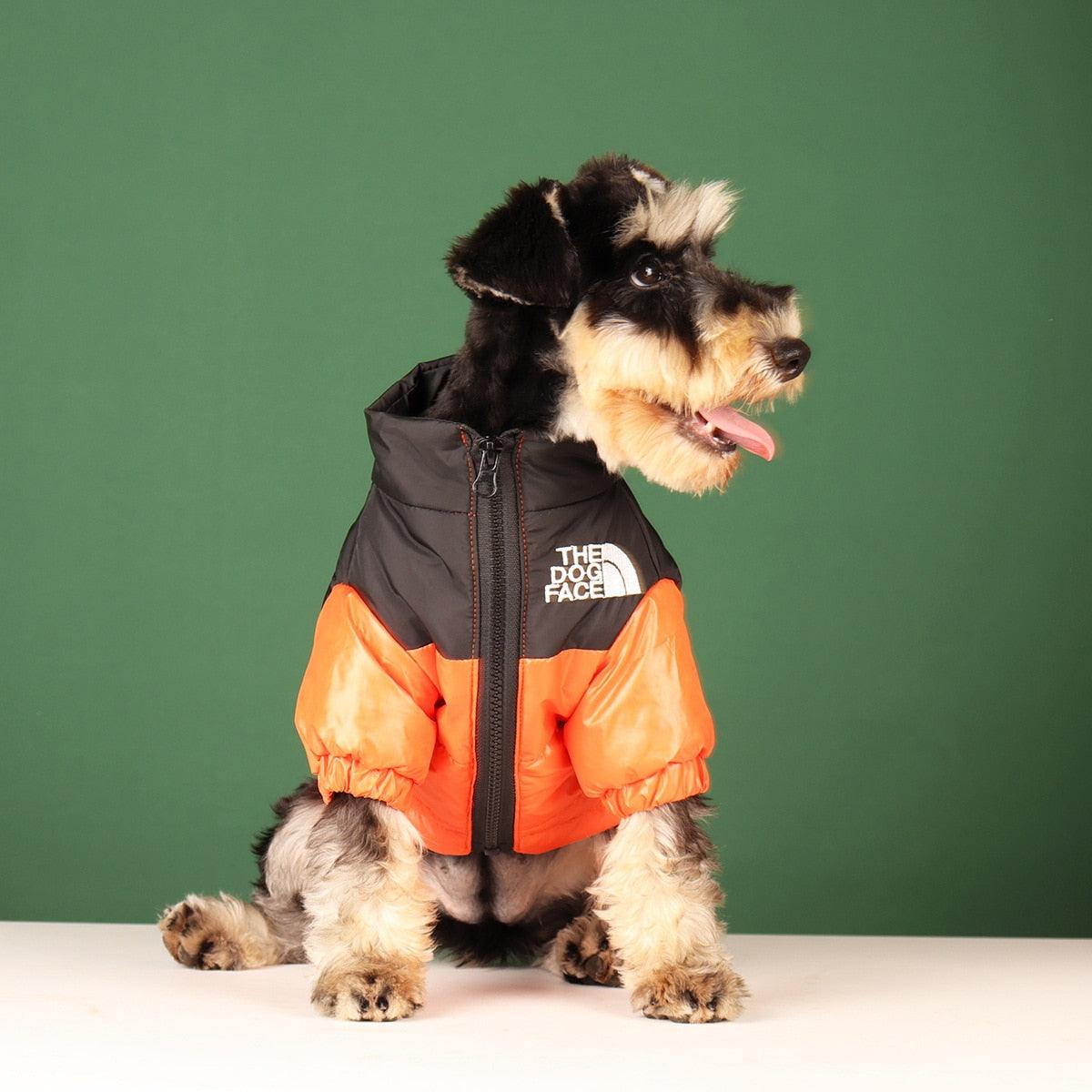 The Dog Face Winter Jacket - Pet Croc