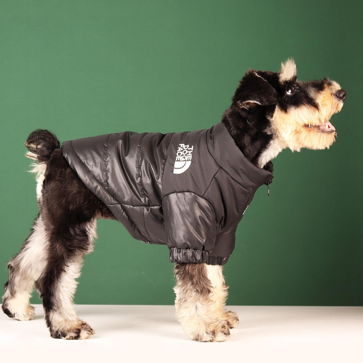 The Dog Face Winter Jacket - Pet Croc