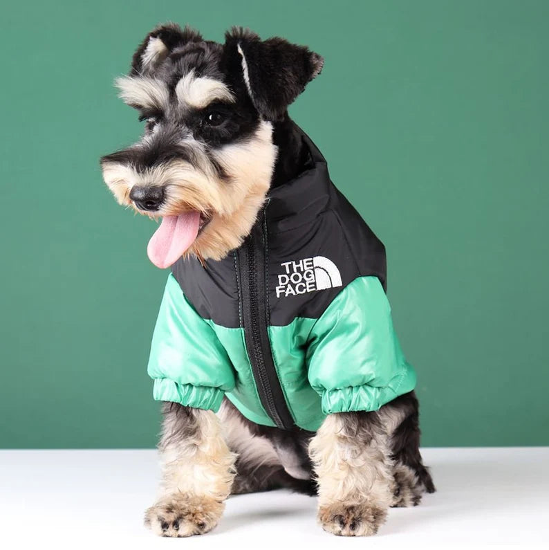 The Dog Face Winter Jacket - Pet Croc