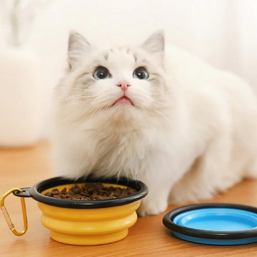 Boomer™: Comedouro e Bebedouro Retrátil - Pet Croc