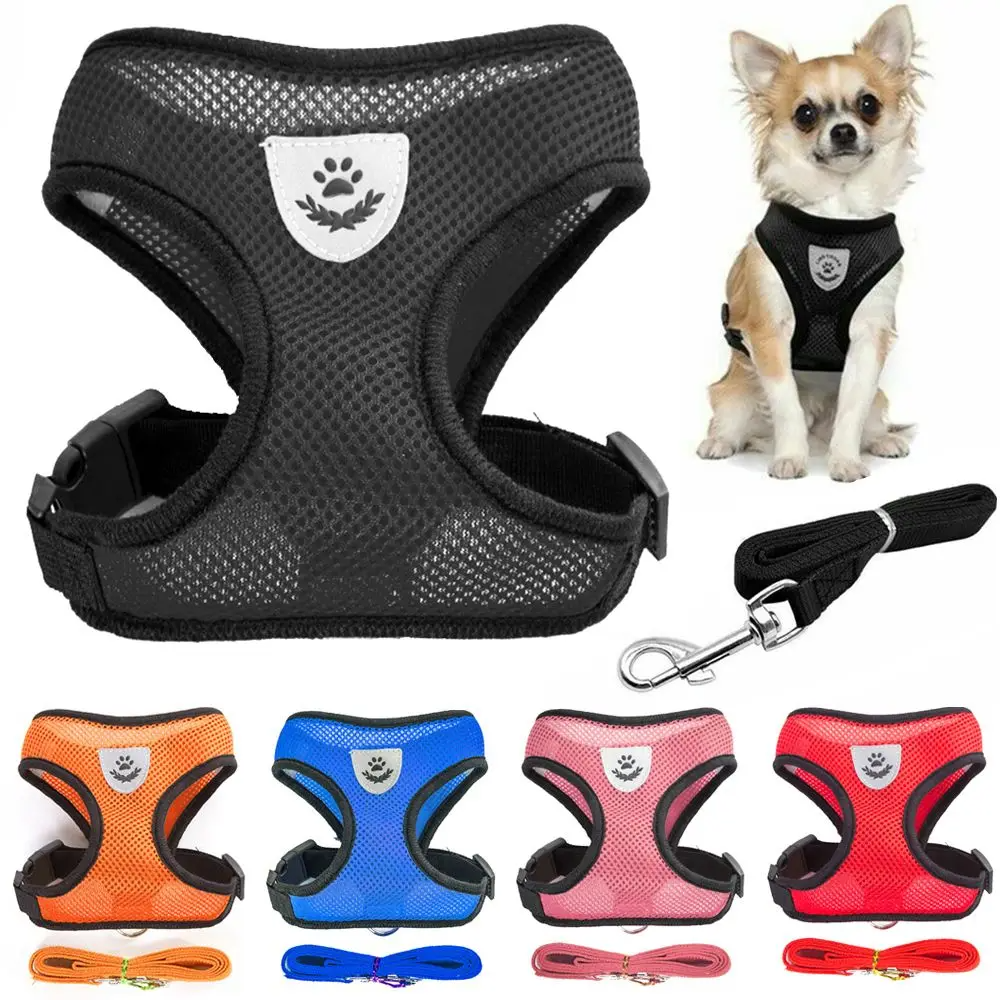 Pet Bunit Collar &amp; Leash