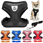 Pet Bunit Collar &amp; Leash