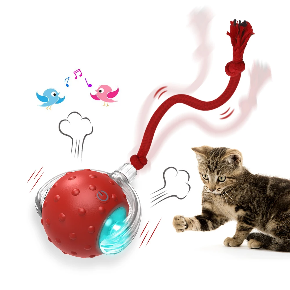 Interactive Automatic Pet Drive Sensor Ball