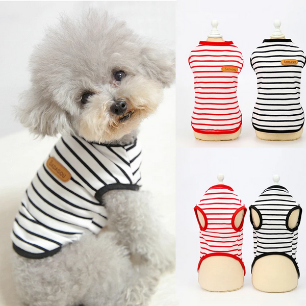 Blusa Listrada Badu para Cachorro - Pet Croc
