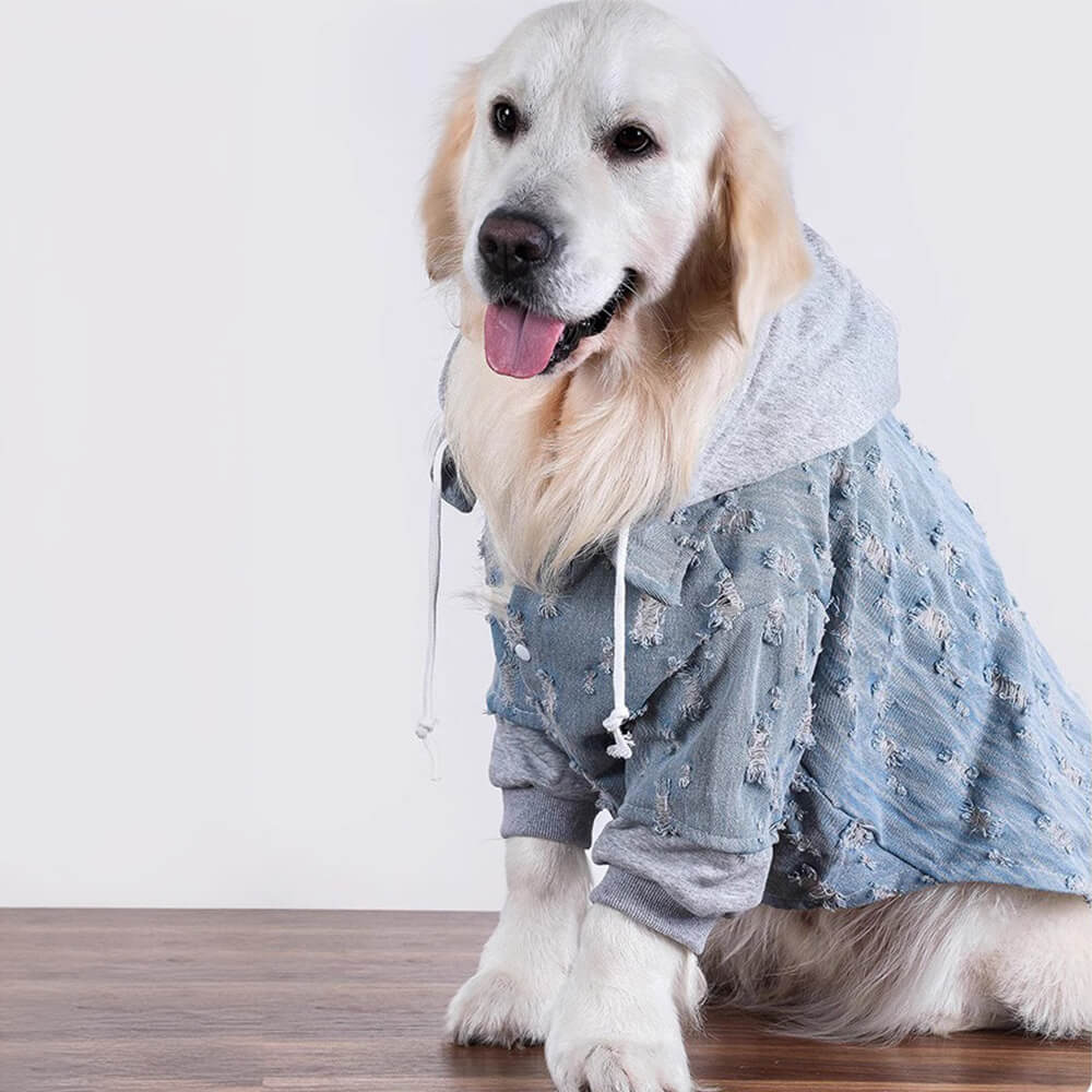 Bonito Denim Rasgado Cachorro Moletom Com Capuz Camisa Roupas
