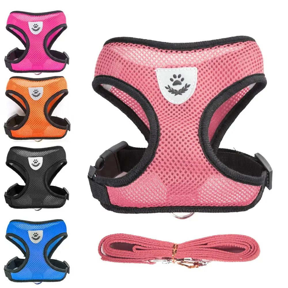 Pet Bunit Collar &amp; Leash