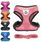 Pet Bunit Collar &amp; Leash