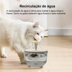 Automatic Water Fountain with Flower Filter