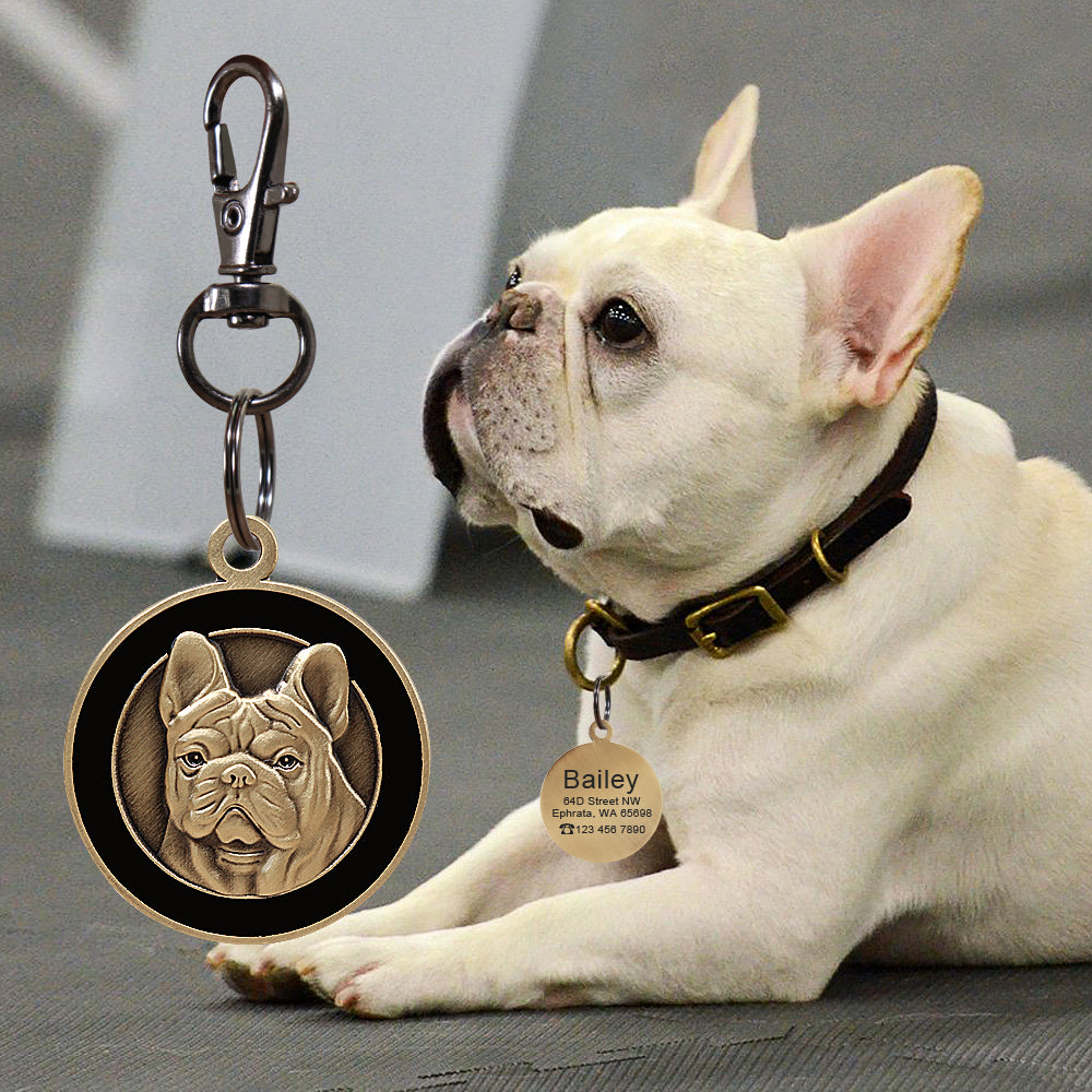 Tag de Identificação Personalizada para Cachorro e Gato