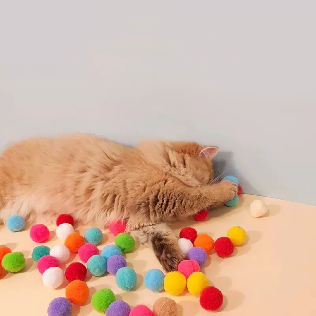 Lançador Arremessador De Bolinha Mini Pompom Para Gatos
