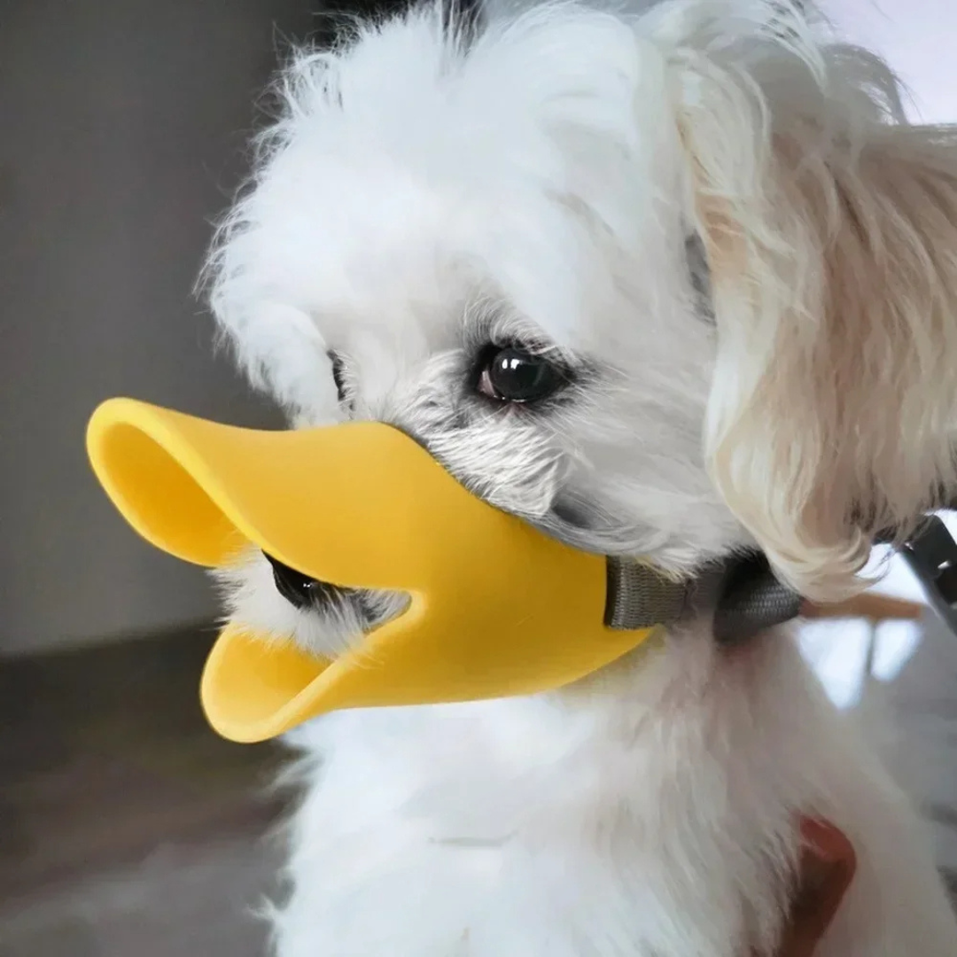 Focinheira de Silicone Bico de Pato para Cachorros de Pequeno e Médio Porte