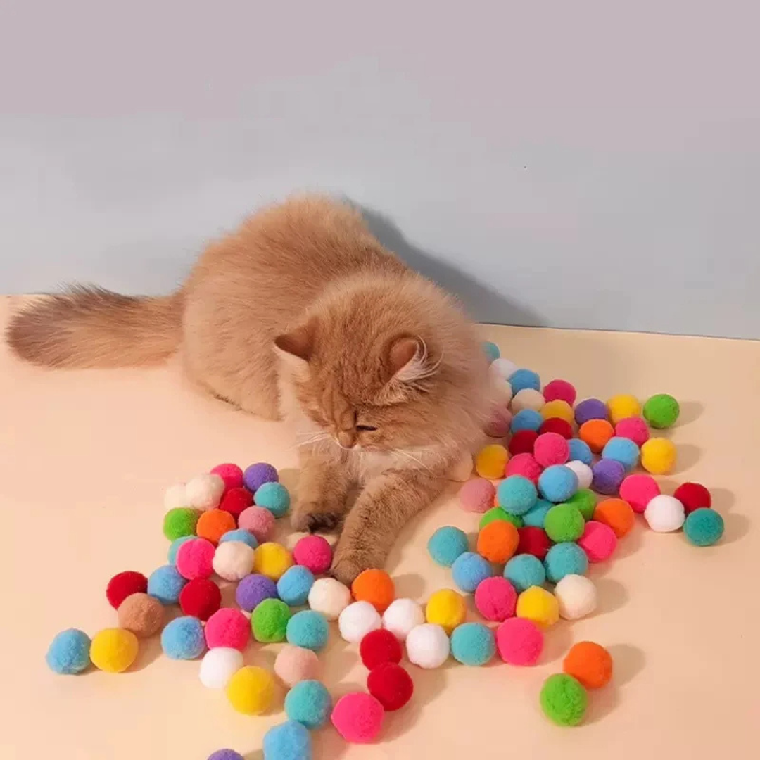 Lançador Arremessador De Bolinha Mini Pompom Para Gatos