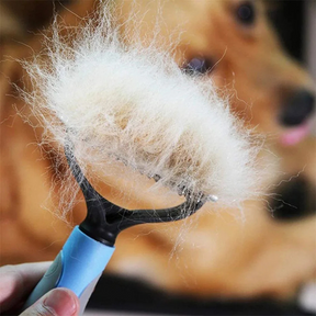 Escova Tira Pelos Descamação Pet Rake para Cães