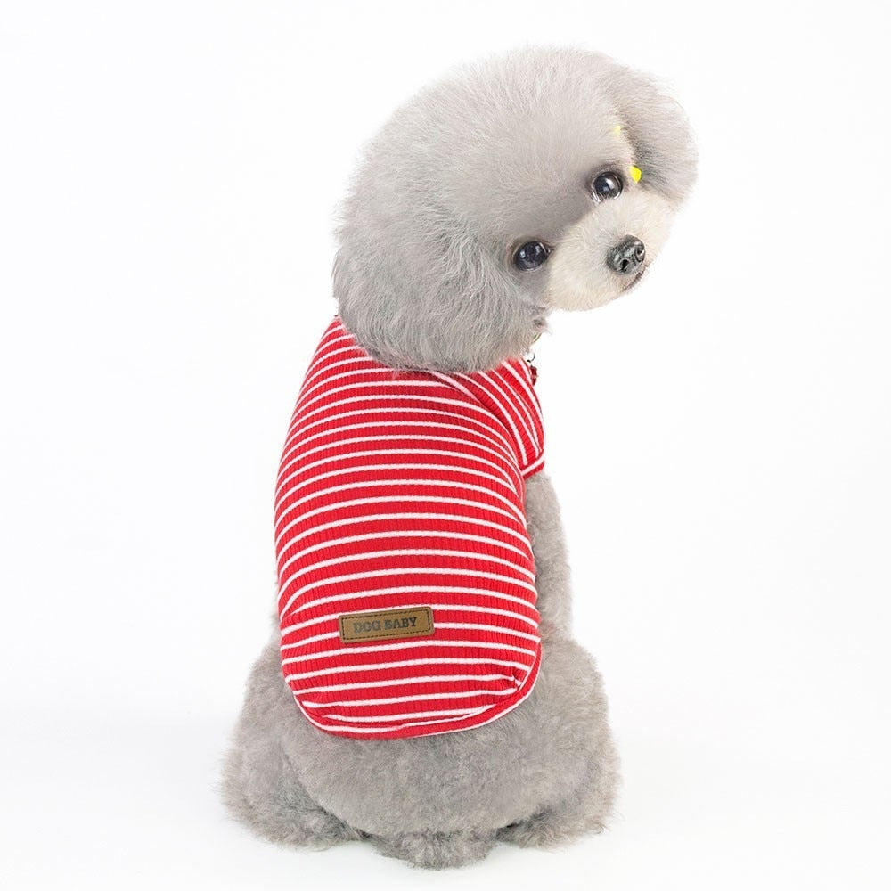 Striped Outfit Mood