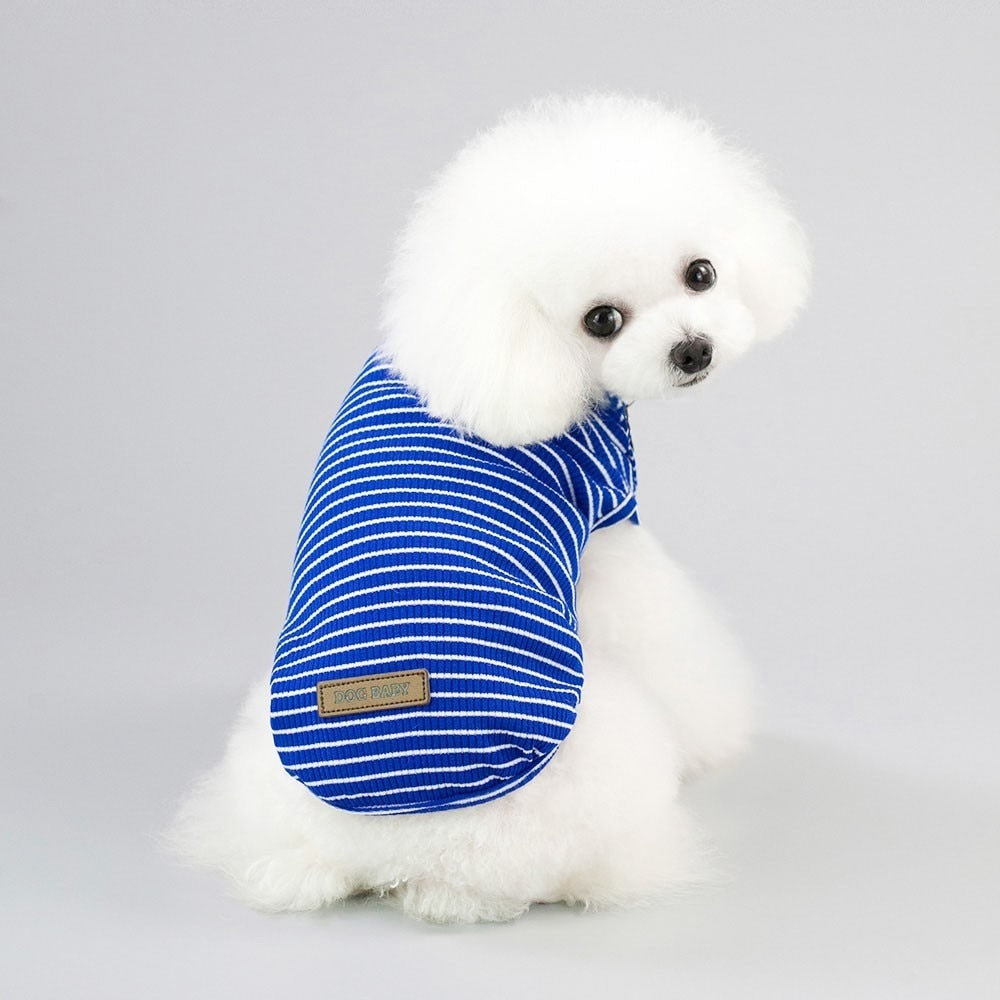 Striped Outfit Mood