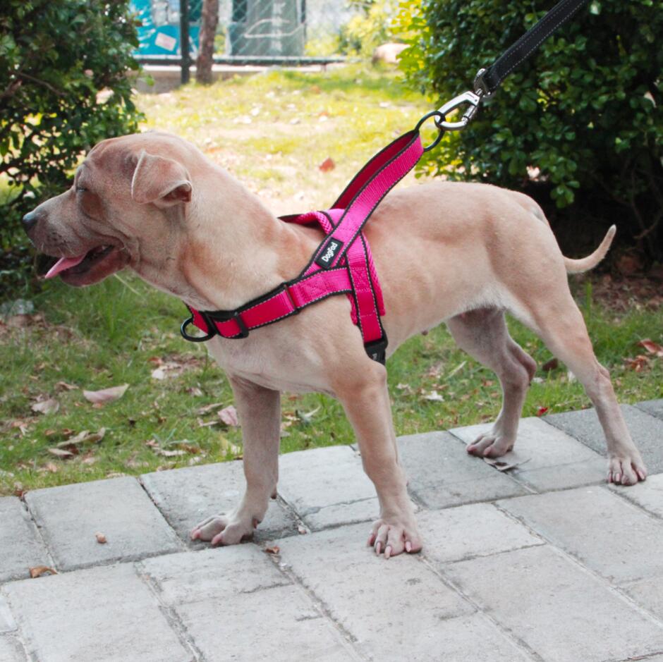 Flexo Anti-pull Chest Harness