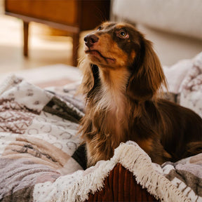 Cama de cachorro redonda calmante Boho Vintage Tassel lavável - Hunter Night