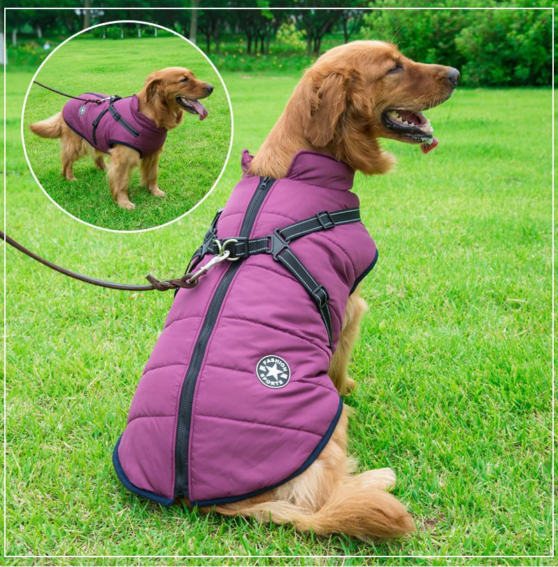 VIP Waterproof Vest
