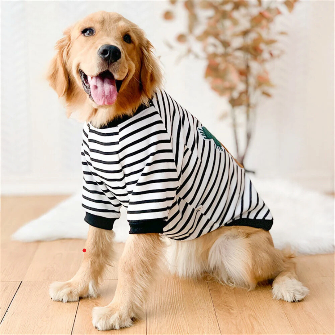 Apolo Pet Sweatshirt
