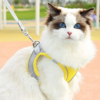 Hamie Pet Collar &amp; Leash
