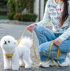 Coleira & Guia Resistente Pet Zilo