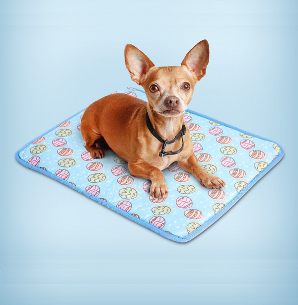 Tapete Gelado Ice Pet - Pet Croc
