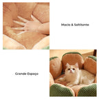 Comfortable cactus-shaped pet bed