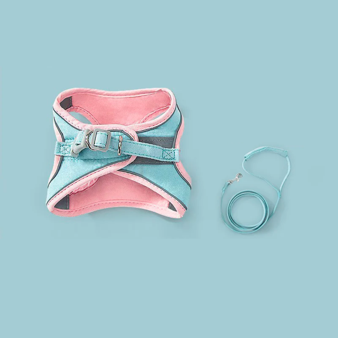 Coleira anti-fuga para gatos - Safe Cat