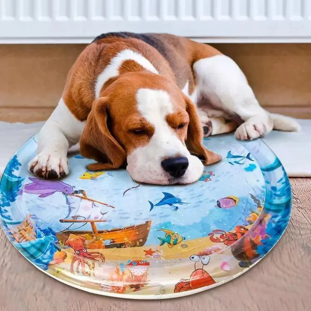 Piscina Tapete Inflável de Água Sensorial Resfriado para Cães e Gatos