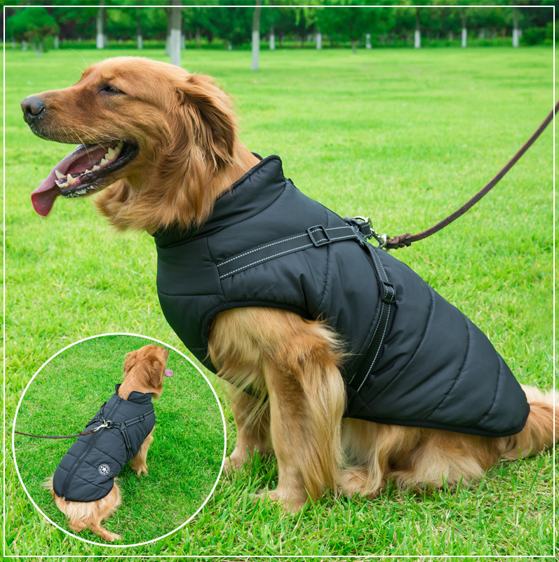 VIP Waterproof Vest