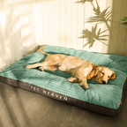 Cama Para Cachorro Grande Kansas