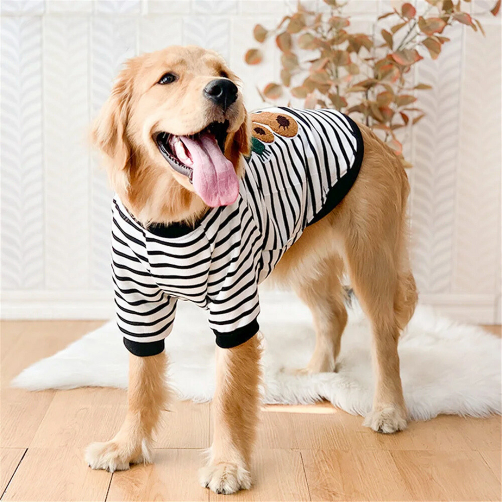 Apolo Pet Sweatshirt