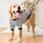 Apolo Pet Sweatshirt