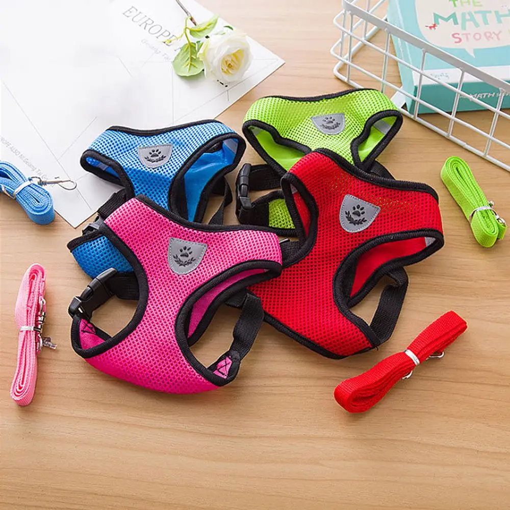 Pet Bunit Collar &amp; Leash