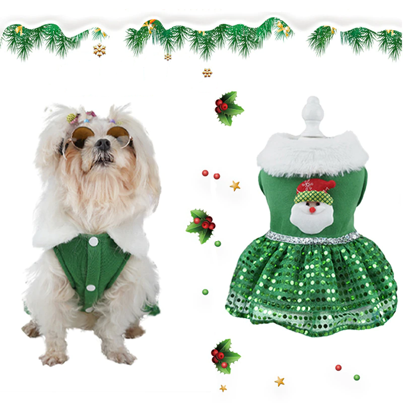 Fashionable Christmas Dress 