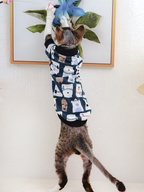 Pet Lice sweatshirt 