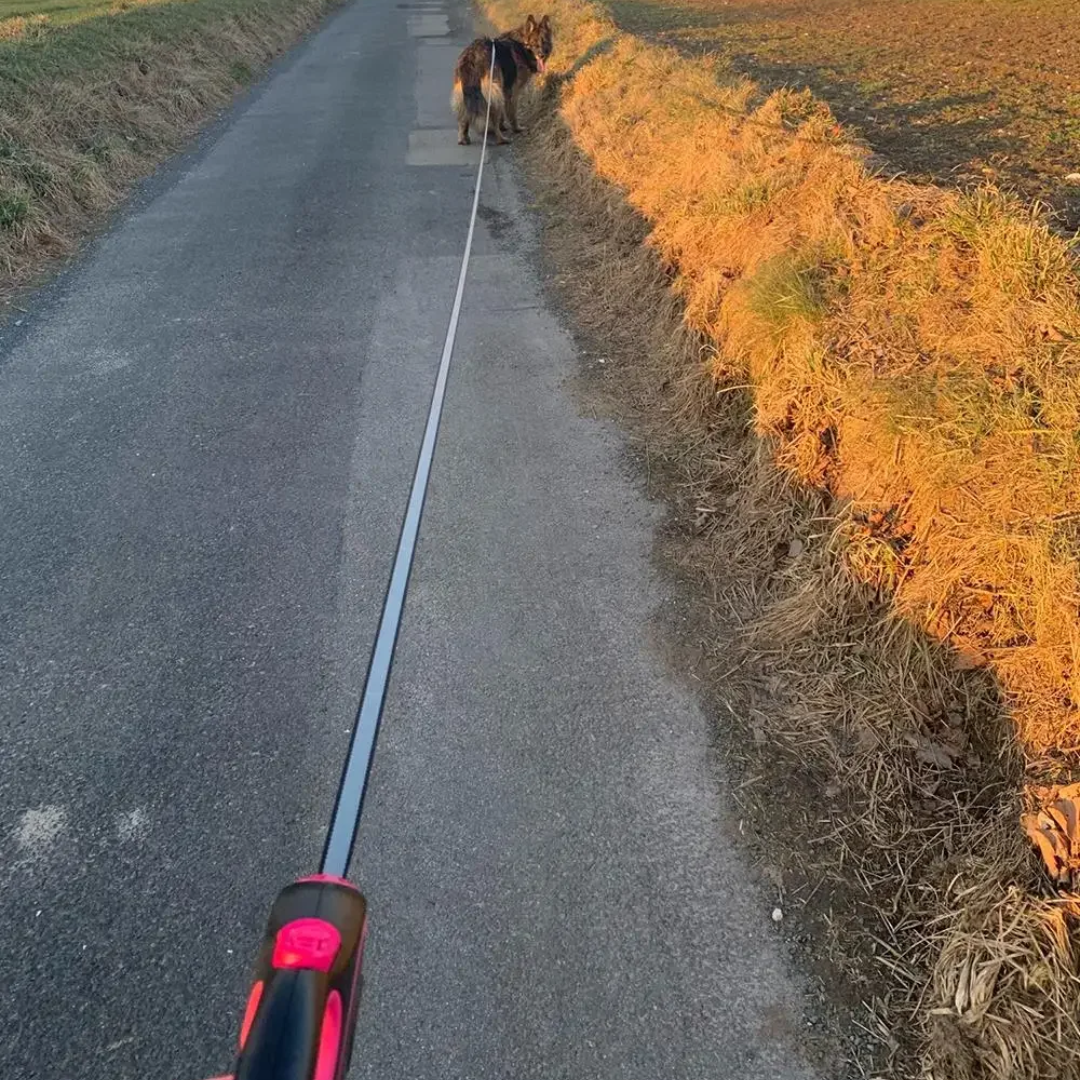 Guia Coleira Retrátil Reforçada para Cães e Gatos