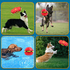 AeroCroc™ Premium Flying Ball Toy - 2023 Release