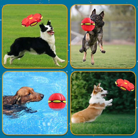 AeroCroc™ Premium Flying Ball Toy - 2023 Release