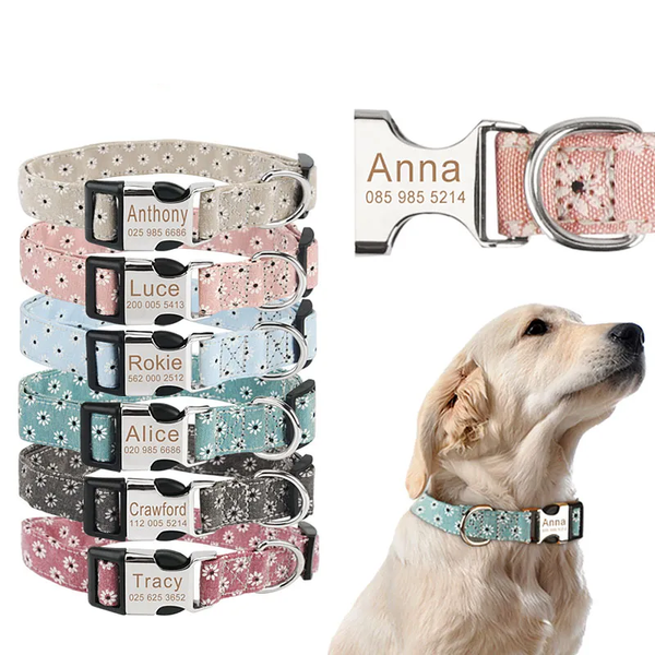Coleira de Identificação Personalizada Ping - Pet Croc