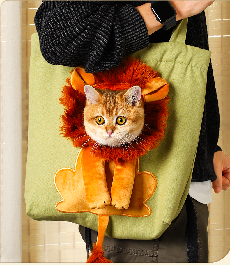 Pet Pup Carrier Bag