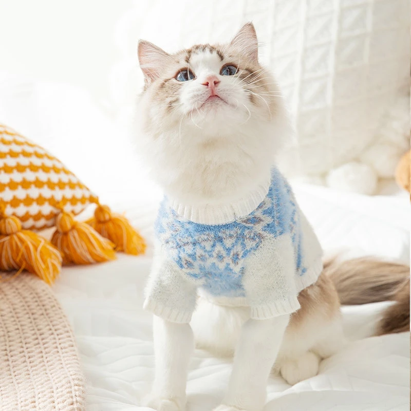 Matcha Knit Pet